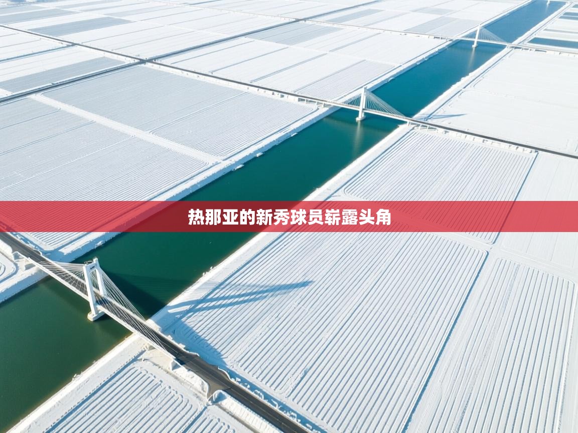 热那亚的新秀球员崭露头角  第1张