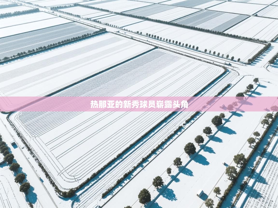 热那亚的新秀球员崭露头角  第2张