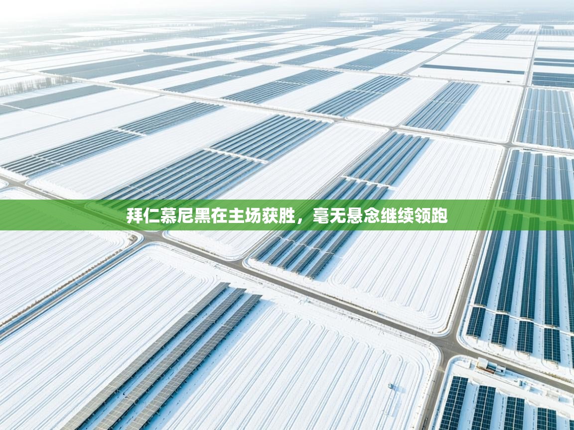 拜仁慕尼黑在主场获胜，毫无悬念继续领跑  第1张