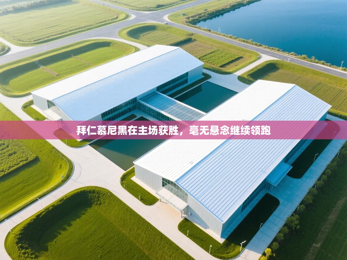 拜仁慕尼黑在主场获胜，毫无悬念继续领跑  第2张